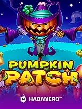 pumpkin-patch