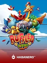 ruffled-up